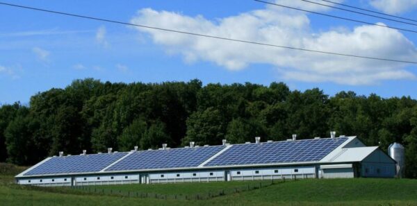 太陽光発電の将来性